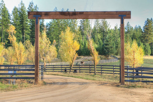 Train Horn on Private Property vs. Public Road: Where You Can Legally Blast a Horn Gun