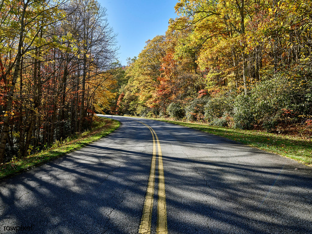 Are Train Horns Legal in North Carolina? What G.S. 20-125 Actually Says