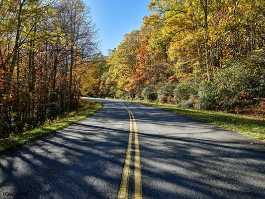 Are Train Horns Legal in North Carolina? What G.S. 20-125 Actually Says